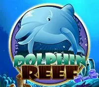 DOLPHIN REEF — game at Starbucks88