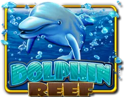 DOLPHIN REEF — game at Starbucks88